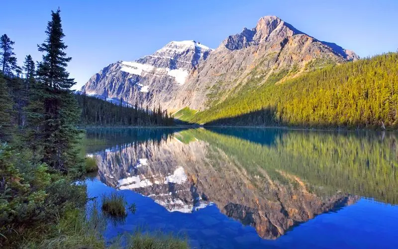 信息化可靠性数字化